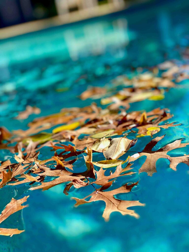 One Time Pool Cleaning Service Near Me